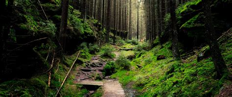 Nature 3440x1440 Resolution Wallpapers UltraWide Quad HD .